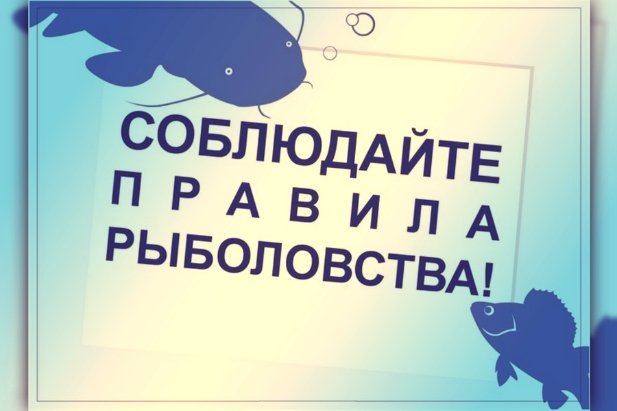 О правилах рыболовства в Омской области.