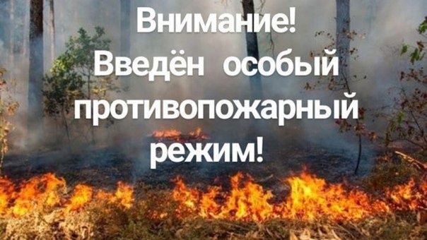 особый противопожарный режим.