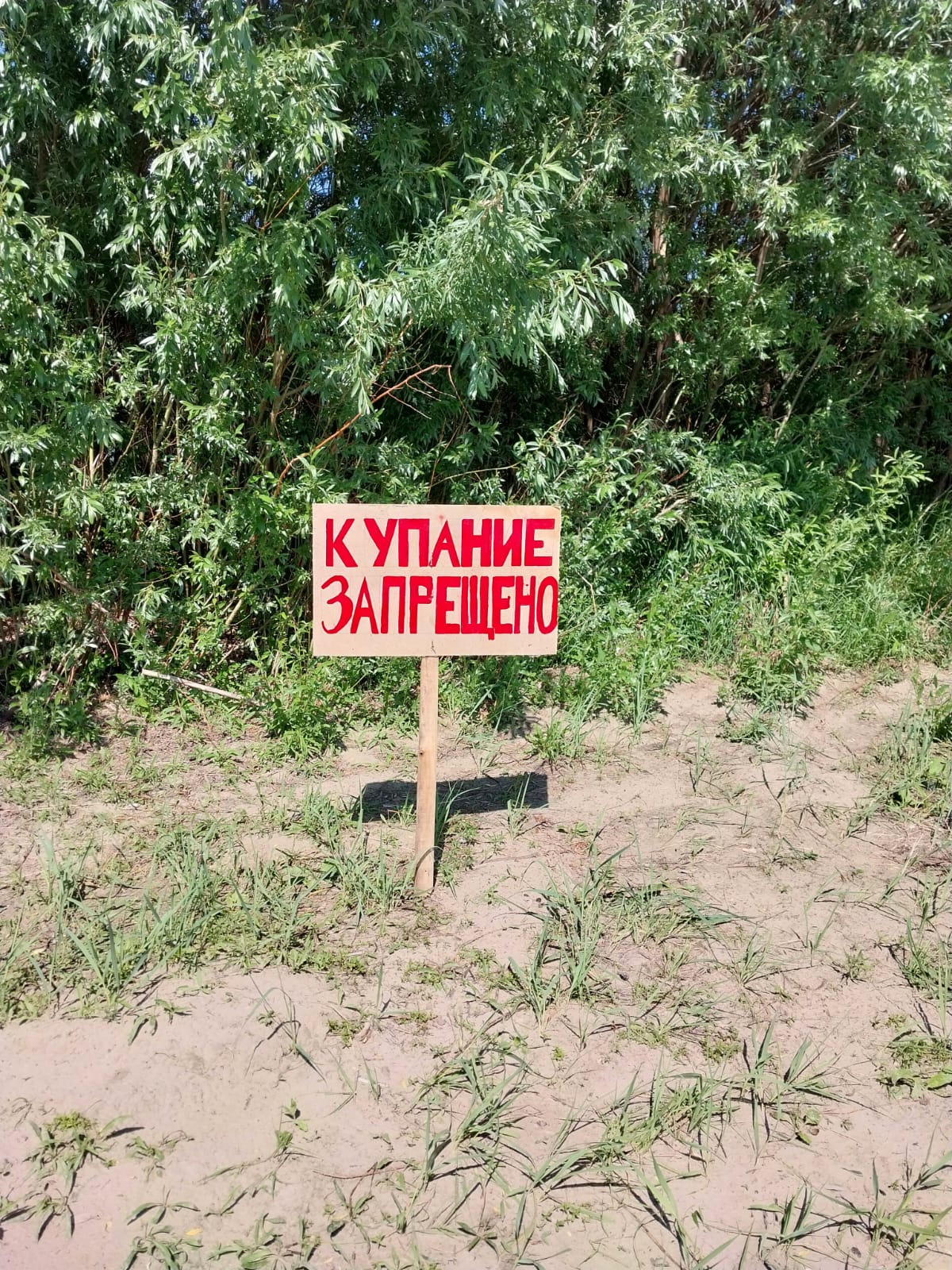 Купание запрещено!.