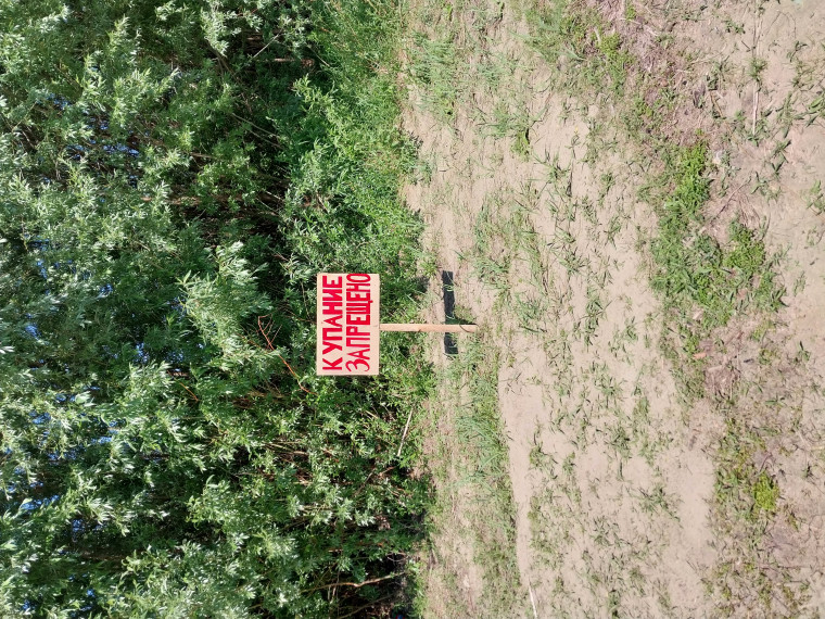 Купание запрещено!. Купание запрещено!.