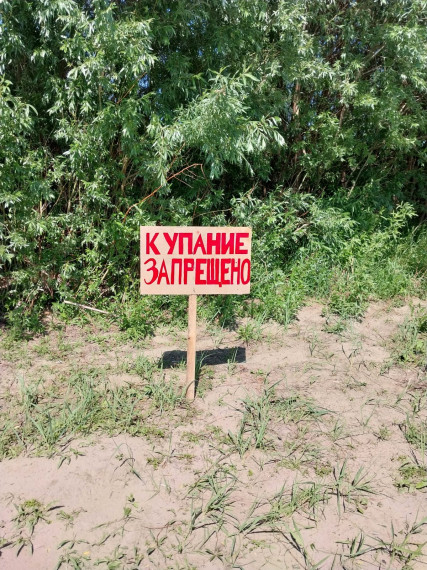 Купание запрещено!. Купание запрещено!.